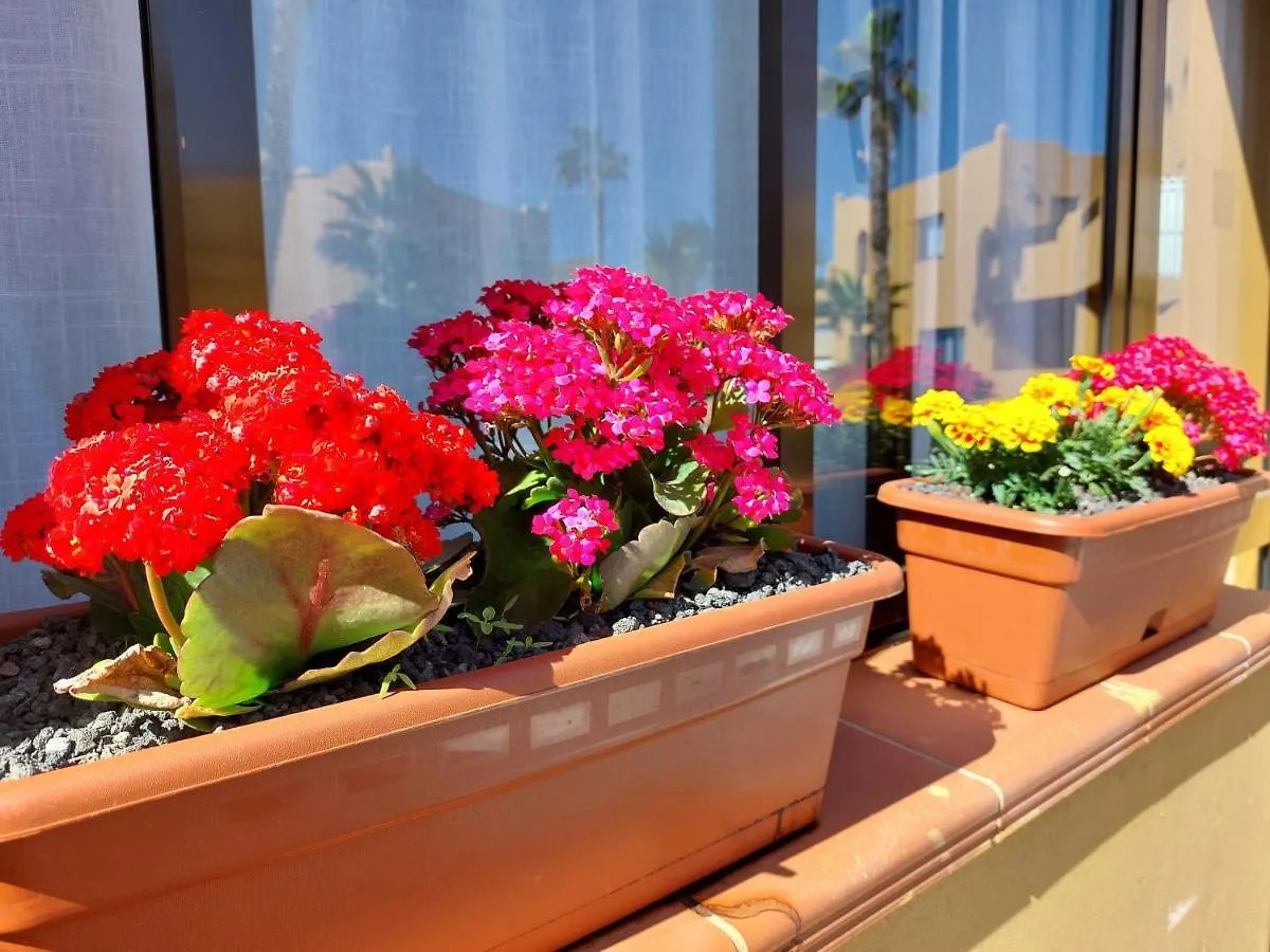 Casa Ledu - Sunny Holiday In Fuerteventura Corralejo